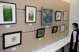 礼文の草花 日本画、水彩画で 稚内信金支店で「ふたり展