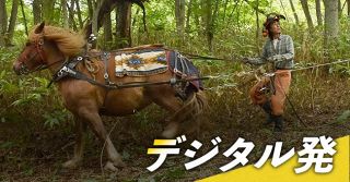＜デジタル発＞昔ながら、ウマと働き、暮らす　豊浦町へ移住の夫妻が実践、昭和以前の農林業とは
