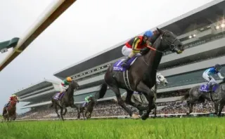 天皇賞、クロワデュノールが優勝 G1で4勝目：北海道新聞デジタル