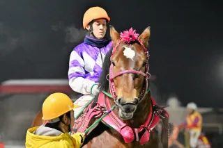 ３月8日のレース紹介　第47回ポプラ賞＜ばんえい競馬＞