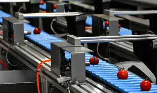 ベルトコンベアで運び大きさや糖度などを1粒ずつ計測する選果機