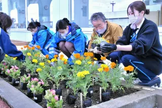 稚内空港を色鮮やかに　花壇に植栽