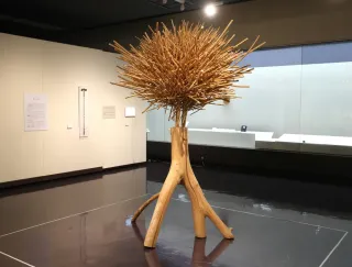 砂澤ビッキの生きた時代展＞②樹華＝1983年、音威子府村蔵 形を変える