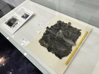 浦幌町の「Ｋ／Ｐｇ境界層」のはぎ取り標本（北海道博物館提供）