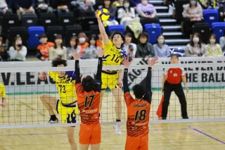 【11日の試合結果】イエロースターズ