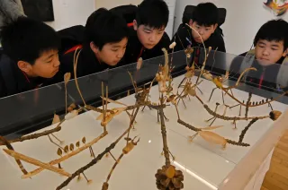 阿部典英さんの作品「ドングリめだま参上」