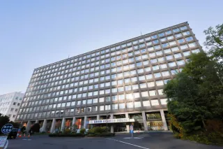 ナラ枯れ原因の虫、森町と厚沢部で初確認　胆振では確認されず　北海道調査