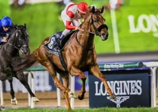 フォーエバーヤングは3着 競馬のドバイ・ワールドカップ：北海道