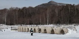 糠平湖・タウシュベツ川橋梁、4年連続水没せず　大部分露出で劣化進行