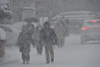 北海道内21日も大荒れ　50センチ降雪予想　函館市電は運転再開