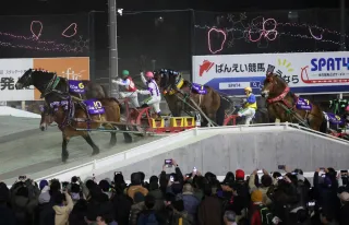 ばんえい競馬全日程終了 販売額548億円 前年度比5.1％減 最高額更新