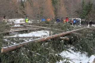 「生きているうちに結果は見られない」　それでも続ける知床の挑戦　「原生の森」復元へ　100平方メートル運動の森・トラスト