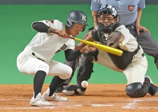 駒大苫小牧 野球部 チームジャージ上下3点セット 駒大苫小牧 野球部