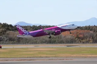 ピーチ、新千歳発着の4便欠航 機材整備で：北海道新聞デジタル