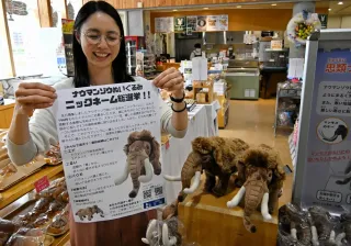 ナウマン象化石 文化遺産オンライン