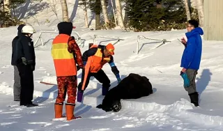 小清水町がヒグマ緊急銃猟の対応訓練実施　市街地出没時の駆除手順を確認