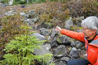 十勝岳　ロープ切断、高山植物踏み荒らし　上川振興局など啓発パトロール　「植生保護に理解を」