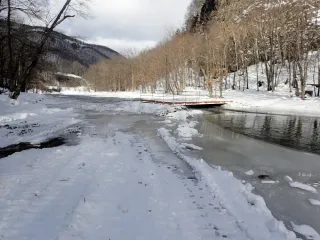 湧別原野クロカン大会3年連続縮小へ　雪不足で80キロ種目中止