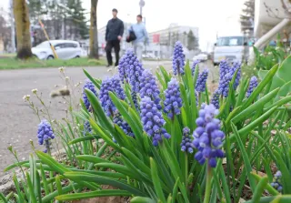 北海道内、ぽかぽか陽気　池田で21.1度、8地点で20度超え