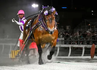 王者メムロボブサップ史上初　重賞同一レースで6連覇＜ばんえい競馬＞