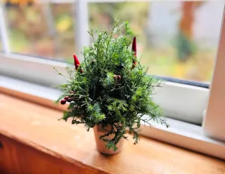 トカチのモノがたり＞野村亜土さん＝陶芸 手製の型で動物あしらう