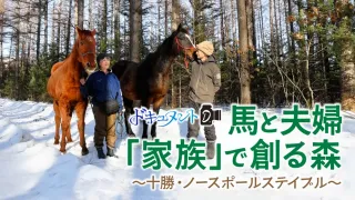 【ドキュメンタリー動画】「この子たちと生きる」――十勝の森で、馬16頭と暮らす夫婦の物語