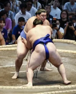 新横綱大の里は初日快勝　豊昇龍も白星、琴桜敗れる