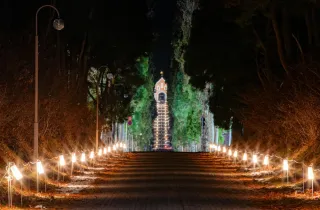 トラピスト修道院へ幻想的な導き　北斗の並木道、17日からライトアップ