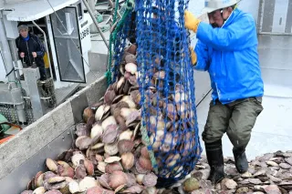 北海道産農林水産物の輸出実績発表　ホタテどこまで回復？＜来週の北海道経済＞2月22日～28日