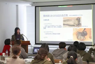 ゼニガタアザラシとの共生考える　漁業関係者ら、帯広でシンポ