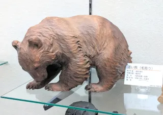 木彫り熊「堀井流」に迫る 八雲の資料館、18日に学芸員解説 3大ルーツ