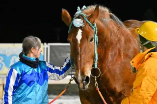 2月1日のレース紹介 第36回ヒロインズカップ＜ばんえい競馬＞：北海道
