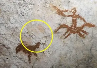 6万7000年前の最古壁画か　インドネシアの洞窟