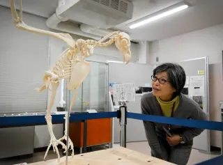 身近な生き物の生態紹介　札幌市博物館活動センターで企画展