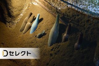 ＜デジタル発＞硫黄島学徒兵　最期の証言（中）渇水の島　ある文学青年の死