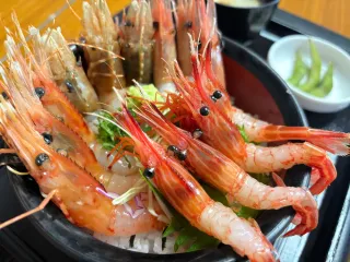 豪華！地場産エビの丼食べて　道の駅「上ノ国もんじゅ」で30日からフードフェア