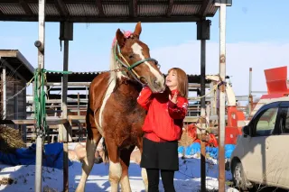 ばんえい競馬、馬主の平均年齢66歳　5年で5歳若返り　人気高まり北海道外の30～50代が参入