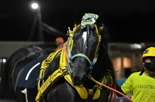 ビバ！BANBA ばんえい競馬：北海道新聞デジタル