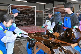 福島商高生、コンブ生産を支える　登校前にアルバイト、洗い、干しなどで人手不足補う＜みなみ風＞