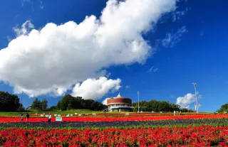 網走『はな・てんと』ボランティア募集　花壇管理など24日締め切り
