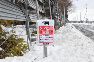 北広島市、クマ管理に「ゾーニング」導入　森林、市街地など4区域設定　出没時の迅速対応目指す