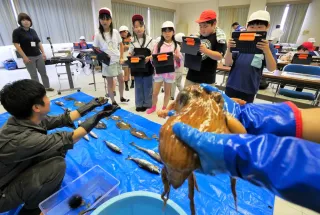 浦河の漁業や港湾学ぶ　開建の見学会に児童70人
