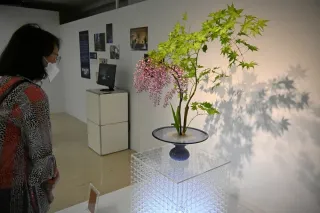 色鮮やかなフジを眺める来場者。カキツバタやシャクヤクなど初夏の花を使った展示が並ぶ