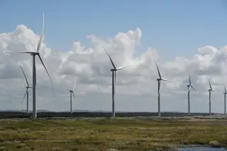 風車全基、日中の運転停止　幌延の風力発電所　野鳥衝突止まらず