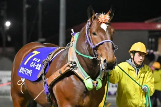 百姓貴族」声優登場 28日、帯広競馬場で「ばん馬まつり」：北海道新聞