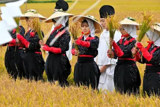 美瑛で抜穂祭　宮中行事に献上