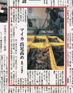 タイムトラベル渡島檜山＞1996年7月21日 初の「海の日」伝える 多彩な