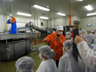 花咲港小の児童、水産加工会社を見学