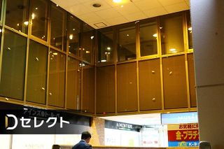 「ついに札幌でも…」　大型ガ「クスサン」大発生＜デジタル発＞