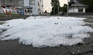 富良野 6月降水量140ミリで過去最多